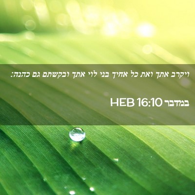 Picture 02 - במדבר 16:10 HEB - ויקרב אתך ואת כל אחיך בני - Bible Verse Picture