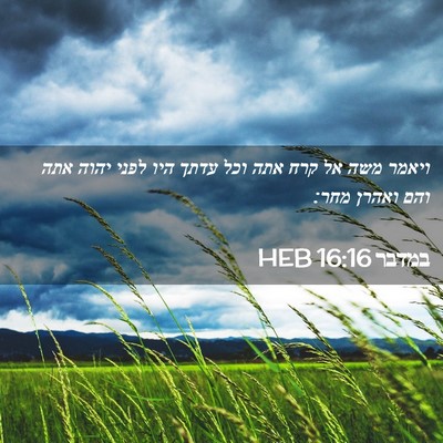 Picture 02 - במדבר 16:16 HEB - ויאמר משה אל קרח אתה וכל - Bible Verse Picture