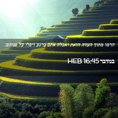 Picture 02 - במדבר 16:45 HEB - הרמו מתוך העדה הזאת ואכלה - Bible Verse Picture