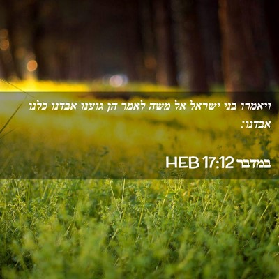Picture 02 - במדבר 17:12 HEB - ויאמרו בני ישראל אל משה - Bible Verse Picture