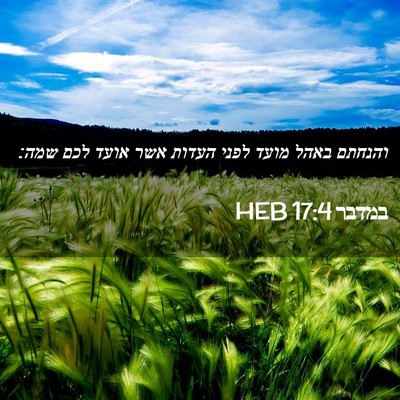Picture 02 - במדבר 17:4 HEB - והנחתם באהל מועד לפני - Bible Verse Picture