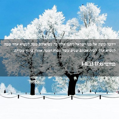 Picture 02 - במדבר 17:6 HEB - וידבר משה אל בני ישראל - Bible Verse Picture