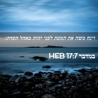 Picture 02 - במדבר 17:7 HEB - וינח משה את המטת לפני יהוה - Bible Verse Picture