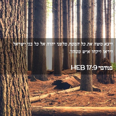 Picture 02 - במדבר 17:9 HEB - ויצא משה את כל המטת מלפני - Bible Verse Picture