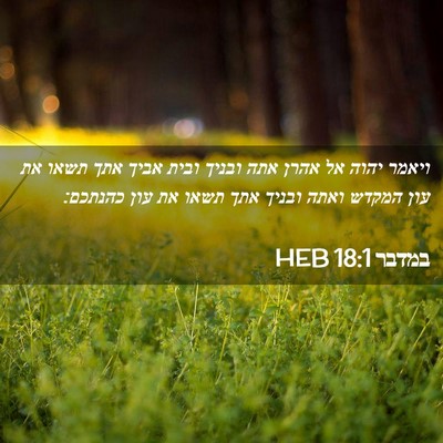 Picture 02 - במדבר 18:1 HEB - ויאמר יהוה אל אהרן אתה - Bible Verse Picture