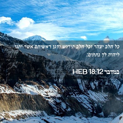 Picture 02 - במדבר 18:12 HEB - כל חלב יצהר וכל חלב תירוש - Bible Verse Picture