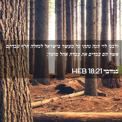 Picture 02 - במדבר 18:21 HEB - ולבני לוי הנה נתתי כל מעשר - Bible Verse Picture
