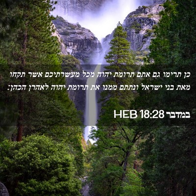 Picture 02 - במדבר 18:28 HEB - כן תרימו גם אתם תרומת יהוה - Bible Verse Picture