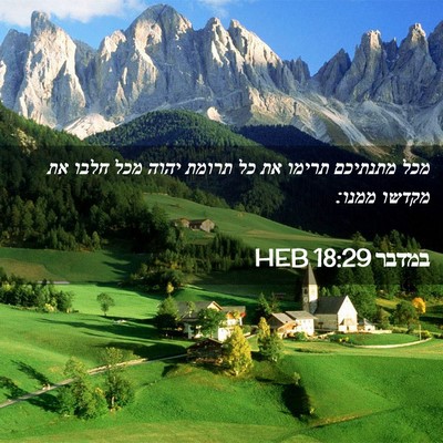 Picture 02 - במדבר 18:29 HEB - מכל מתנתיכם תרימו את כל - Bible Verse Picture