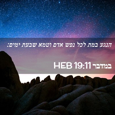 Picture 02 - במדבר 19:11 HEB - הנגע במת לכל נפש אדם וטמא - Bible Verse Picture