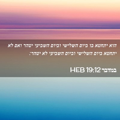Picture 02 - במדבר 19:12 HEB - הוא יתחטא בו ביום השלישי - Bible Verse Picture