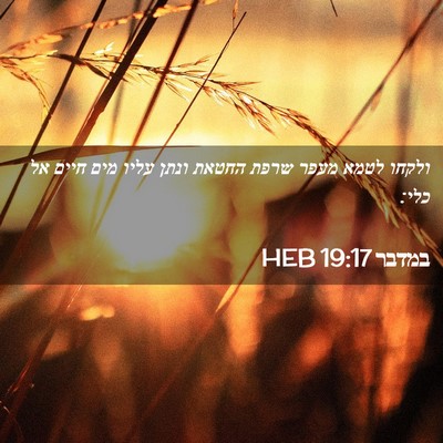 Picture 02 - במדבר 19:17 HEB - ולקחו לטמא מעפר שרפת החטאת - Bible Verse Picture