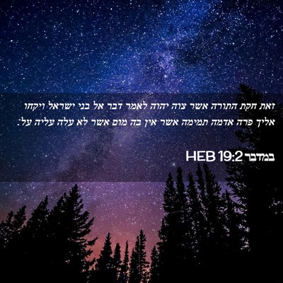 Picture 02 - במדבר 19:2 HEB - זאת חקת התורה אשר צוה יהוה - Bible Verse Picture