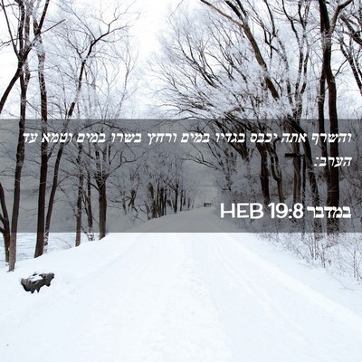 Picture 02 - במדבר 19:8 HEB - והשרף אתה יכבס בגדיו במים - Bible Verse Picture