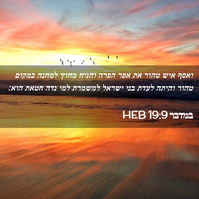 Picture 02 - במדבר 19:9 HEB - ואסף איש טהור את אפר הפרה - Bible Verse Picture