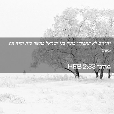 Picture 02 - במדבר 2:33 HEB - והלוים לא התפקדו בתוך בני - Bible Verse Picture