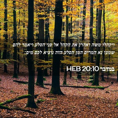 Picture 02 - במדבר 20:10 HEB - ויקהלו משה ואהרן את הקהל אל - Bible Verse Picture