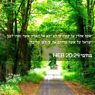 Picture 02 - במדבר 20:24 HEB - יאסף אהרן אל עמיו כי לא יבא - Bible Verse Picture