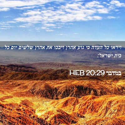 Picture 02 - במדבר 20:29 HEB - ויראו כל העדה כי גוע אהרן - Bible Verse Picture