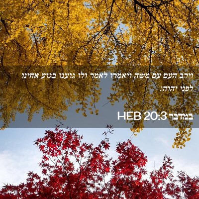 Picture 02 - במדבר 20:3 HEB - וירב העם עם משה ויאמרו לאמר - Bible Verse Picture