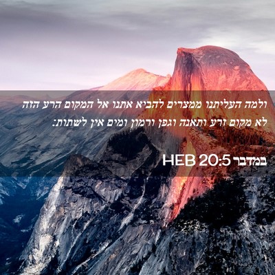 Picture 02 - במדבר 20:5 HEB - ולמה העליתנו ממצרים להביא - Bible Verse Picture