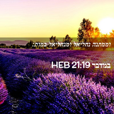 Picture 02 - במדבר 21:19 HEB - וממתנה נחליאל ומנחליאל - Bible Verse Picture