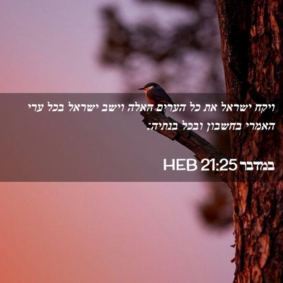 Picture 02 - במדבר 21:25 HEB - ויקח ישראל את כל הערים האלה - Bible Verse Picture