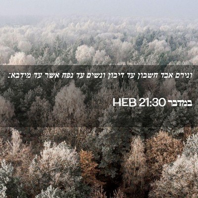 Picture 02 - במדבר 21:30 HEB - ונירם אבד חשבון עד דיבון - Bible Verse Picture