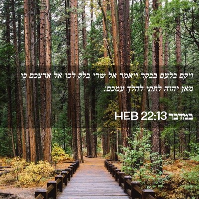 Picture 02 - במדבר 22:13 HEB - ויקם בלעם בבקר ויאמר אל שרי - Bible Verse Picture