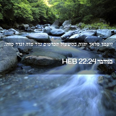 Picture 02 - במדבר 22:24 HEB - ויעמד מלאך יהוה במשעול - Bible Verse Picture