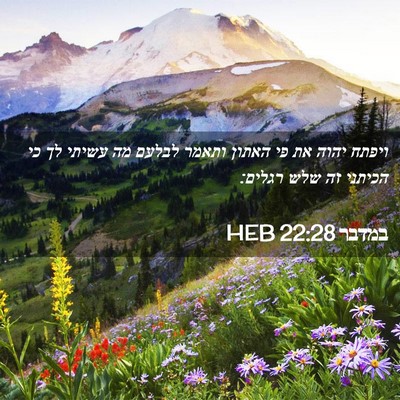 Picture 02 - במדבר 22:28 HEB - ויפתח יהוה את פי האתון - Bible Verse Picture