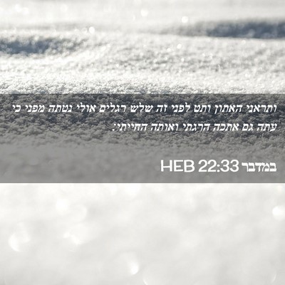 Picture 02 - במדבר 22:33 HEB - ותראני האתון ותט לפני זה - Bible Verse Picture