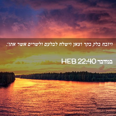 Picture 02 - במדבר 22:40 HEB - ויזבח בלק בקר וצאן וישלח - Bible Verse Picture
