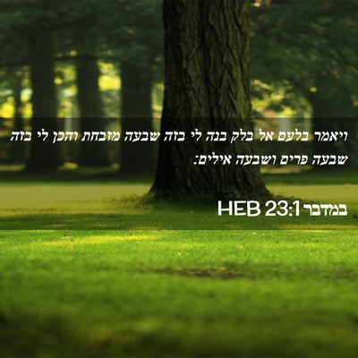 Picture 02 - במדבר 23:1 HEB - ויאמר בלעם אל בלק בנה לי - Bible Verse Picture