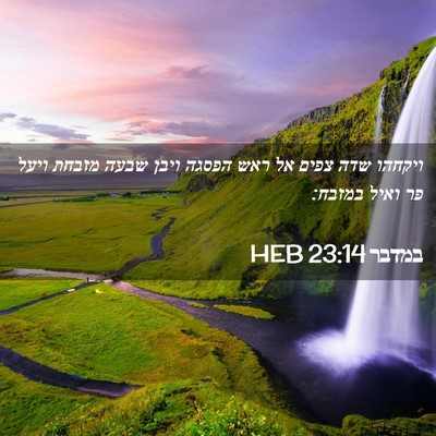 Picture 02 - במדבר 23:14 HEB - ויקחהו שדה צפים אל ראש - Bible Verse Picture