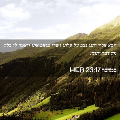 Picture 02 - במדבר 23:17 HEB - ויבא אליו והנו נצב על עלתו - Bible Verse Picture