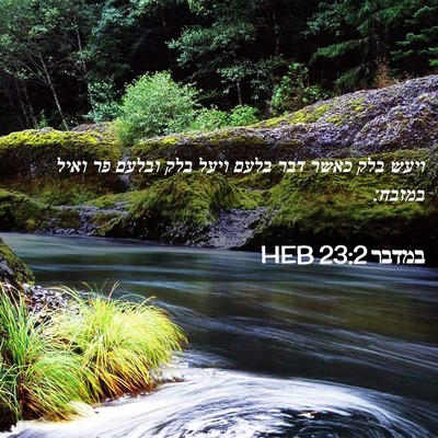 Picture 02 - במדבר 23:2 HEB - ויעש בלק כאשר דבר בלעם ויעל - Bible Verse Picture