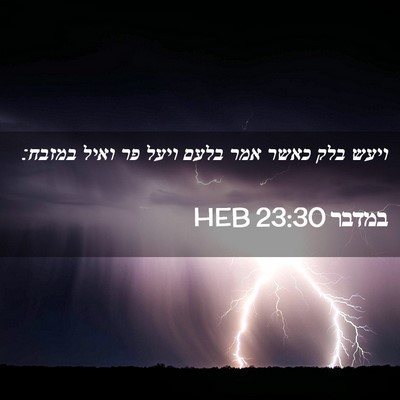 Picture 02 - במדבר 23:30 HEB - ויעש בלק כאשר אמר בלעם ויעל - Bible Verse Picture