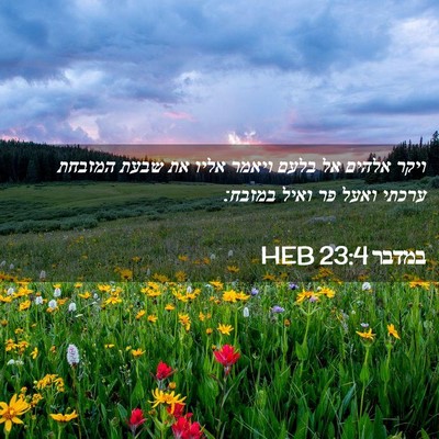Picture 02 - במדבר 23:4 HEB - ויקר אלהים אל בלעם ויאמר - Bible Verse Picture