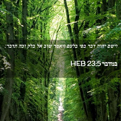 Picture 02 - במדבר 23:5 HEB - וישם יהוה דבר בפי בלעם - Bible Verse Picture