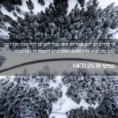 Picture 02 - במדבר 25:18 HEB - כי צררים הם לכם בנכליהם אשר - Bible Verse Picture