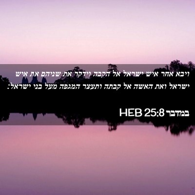Picture 02 - במדבר 25:8 HEB - ויבא אחר איש ישראל אל הקבה - Bible Verse Picture