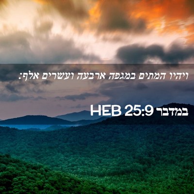 Picture 02 - במדבר 25:9 HEB - ויהיו המתים במגפה ארבעה - Bible Verse Picture