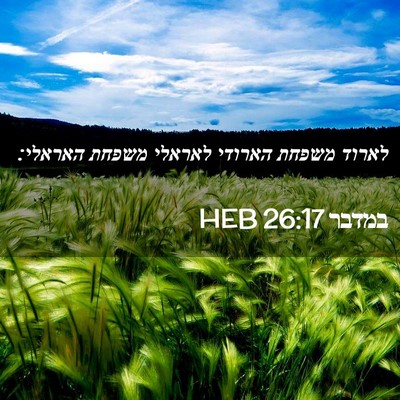 Picture 02 - במדבר 26:17 HEB - לארוד משפחת הארודי לאראלי - Bible Verse Picture