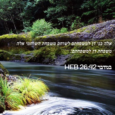 Picture 02 - במדבר 26:42 HEB - אלה בני דן למשפחתם לשוחם - Bible Verse Picture