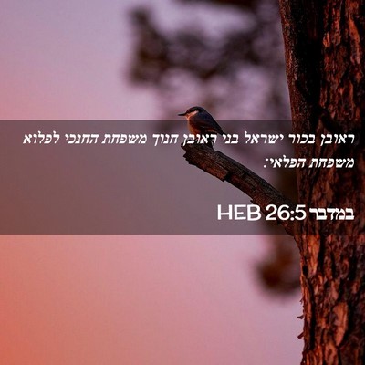 Picture 02 - במדבר 26:5 HEB - ראובן בכור ישראל בני ראובן - Bible Verse Picture