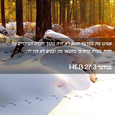 Picture 02 - במדבר 27:3 HEB - אבינו מת במדבר והוא לא היה - Bible Verse Picture