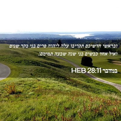 Picture 02 - במדבר 28:11 HEB - ובראשי חדשיכם תקריבו עלה - Bible Verse Picture