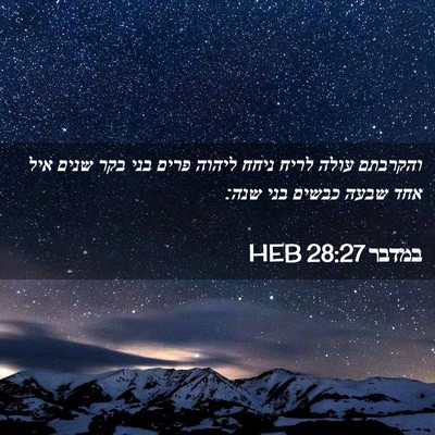 Picture 02 - במדבר 28:27 HEB - והקרבתם עולה לריח ניחח - Bible Verse Picture
