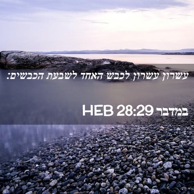 Picture 02 - במדבר 28:29 HEB - עשרון עשרון לכבש האחד - Bible Verse Picture